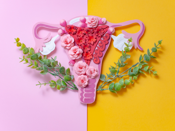 An Integrative Approach to Endometriosis