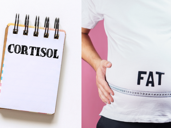 The Relationship Between Cortisol And Belly Fat