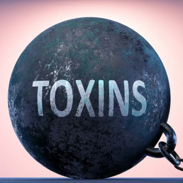 We Need to Take Notice of Heavy Metal Toxicity
