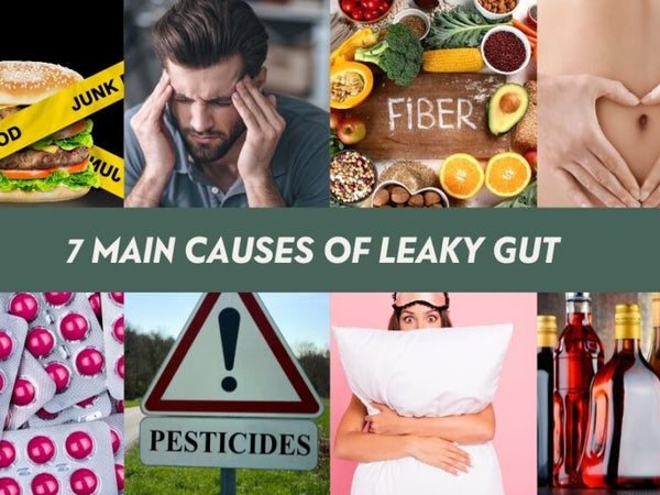 7 Main Causes Of Leaky Gut