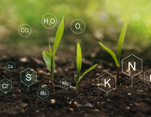 The Reason You're Lacking Nutrients