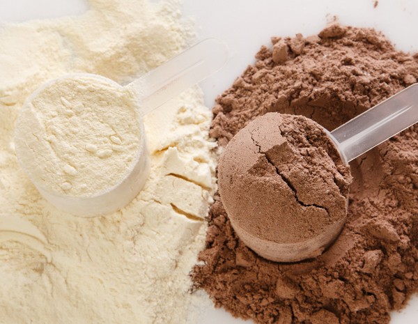 Comparing Vegan Protein & Whey Protein