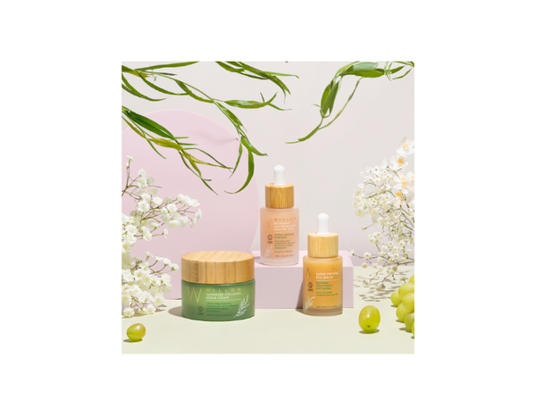 Willow Beauty Products
