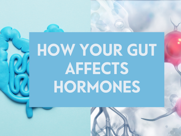 How Your Gut Affects Hormones