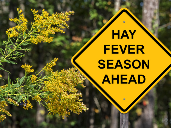 Why Do I Get Hay Fever