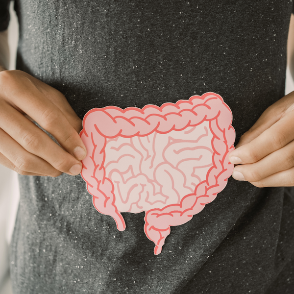 The Gut-Health Connection: Why Fibre Matters More Than Ever